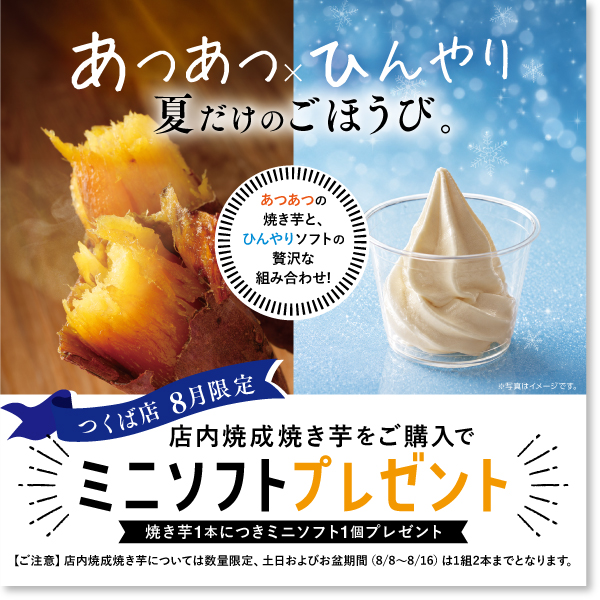 ミニソフト