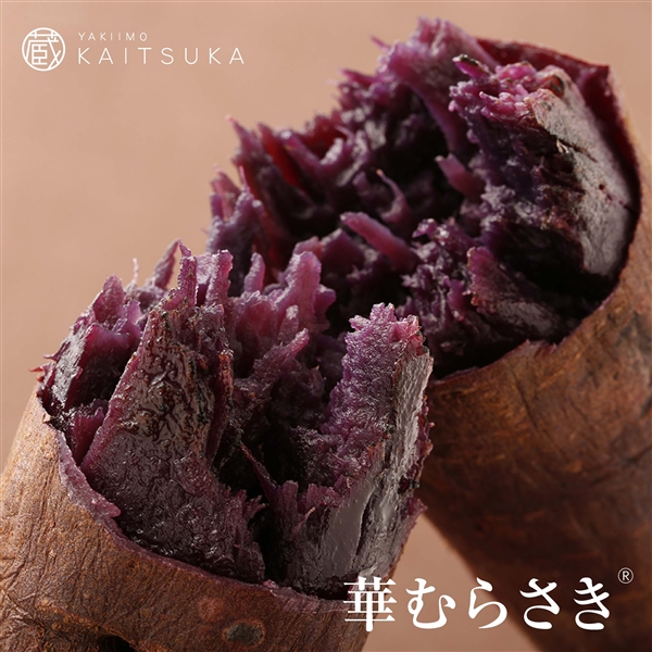 冷凍焼き芋 華むらさき 1 焼き芋 華むらさき 公式 蔵出し焼き芋かいつか