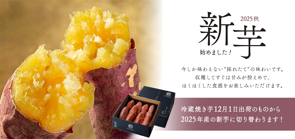 新芋はじめました