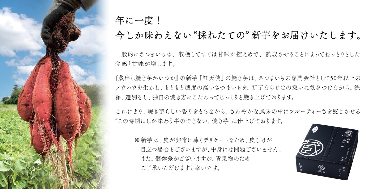 年一度！今しか味わえない採れたての新芋をお届けいたします
