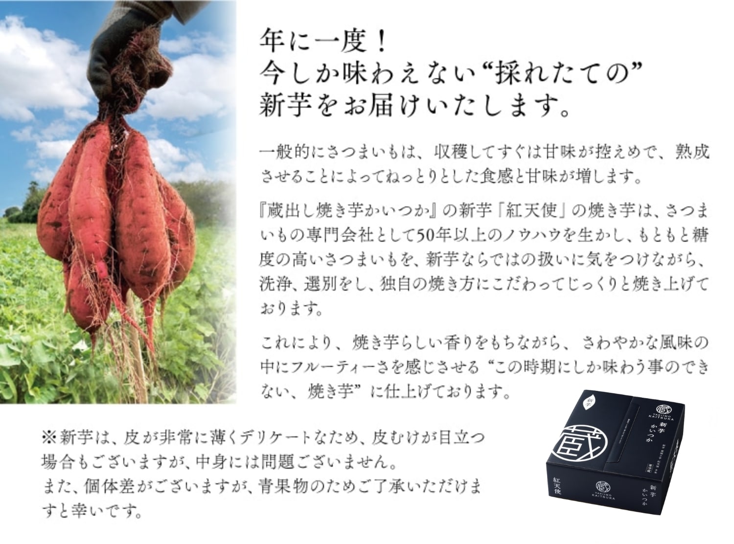 2025秋 新芋始めました！(並び順：発売日)