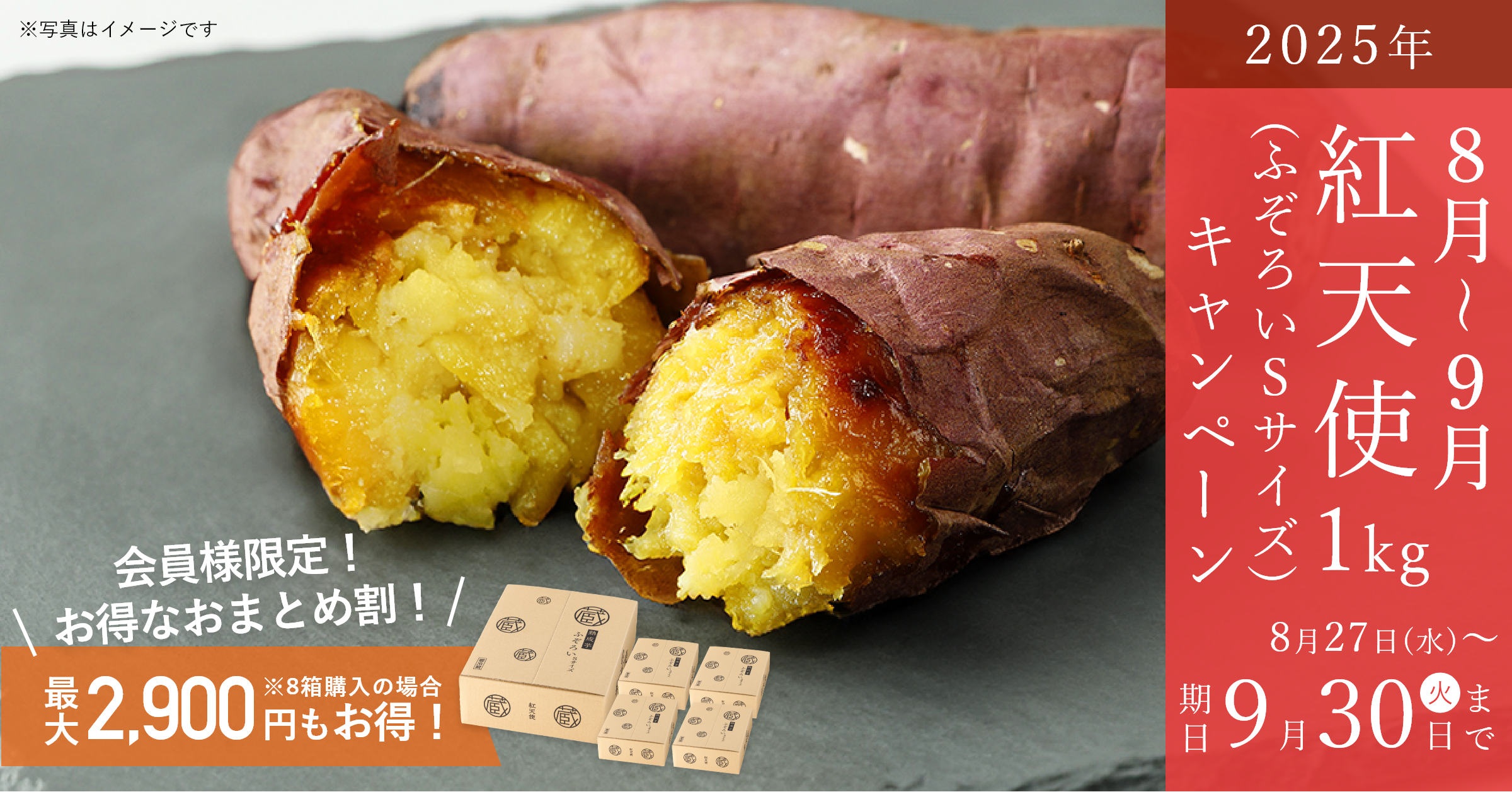 紅天使1㎏ ふぞろいSサイズキャンペーン