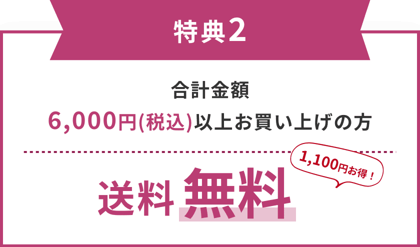 特典2　合計金額6,000円(税込)以上お買い上げの方 送料無料 1,100円お得！