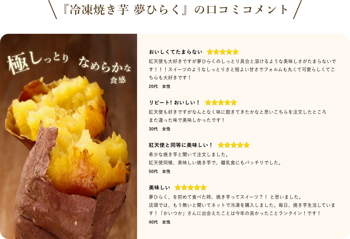 レビュー