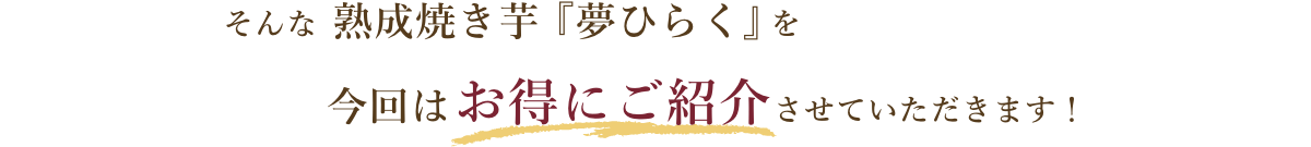 ご紹介