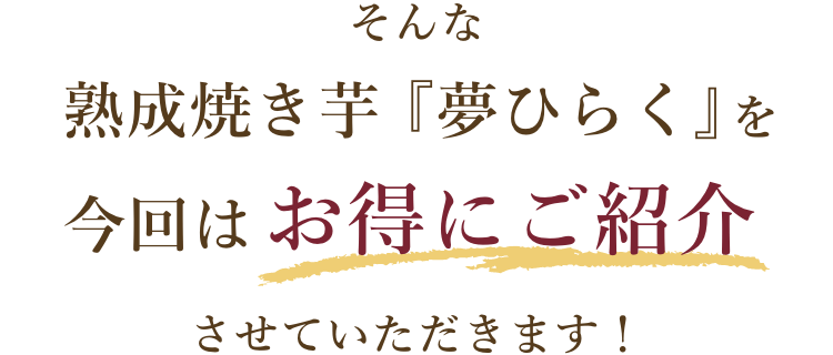 ご紹介