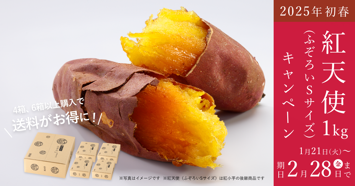 紅天使1kg（ふぞろいSサイズ）キャンペーン