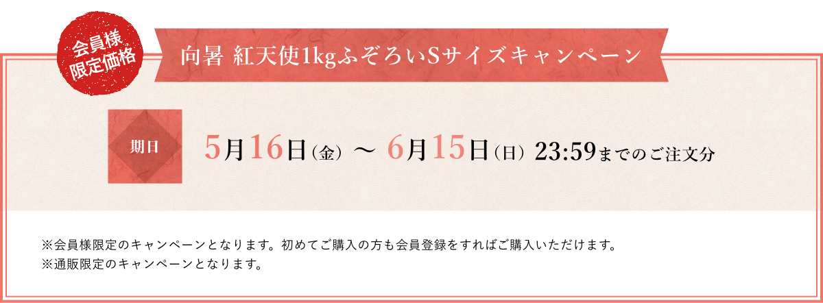 紅天使とは