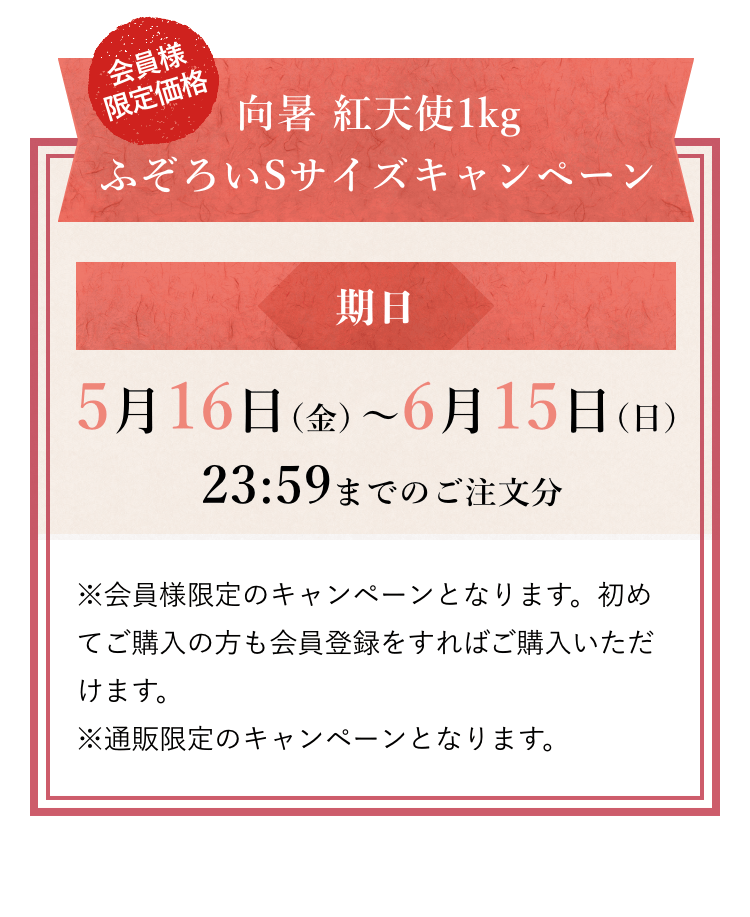 紅天使とは