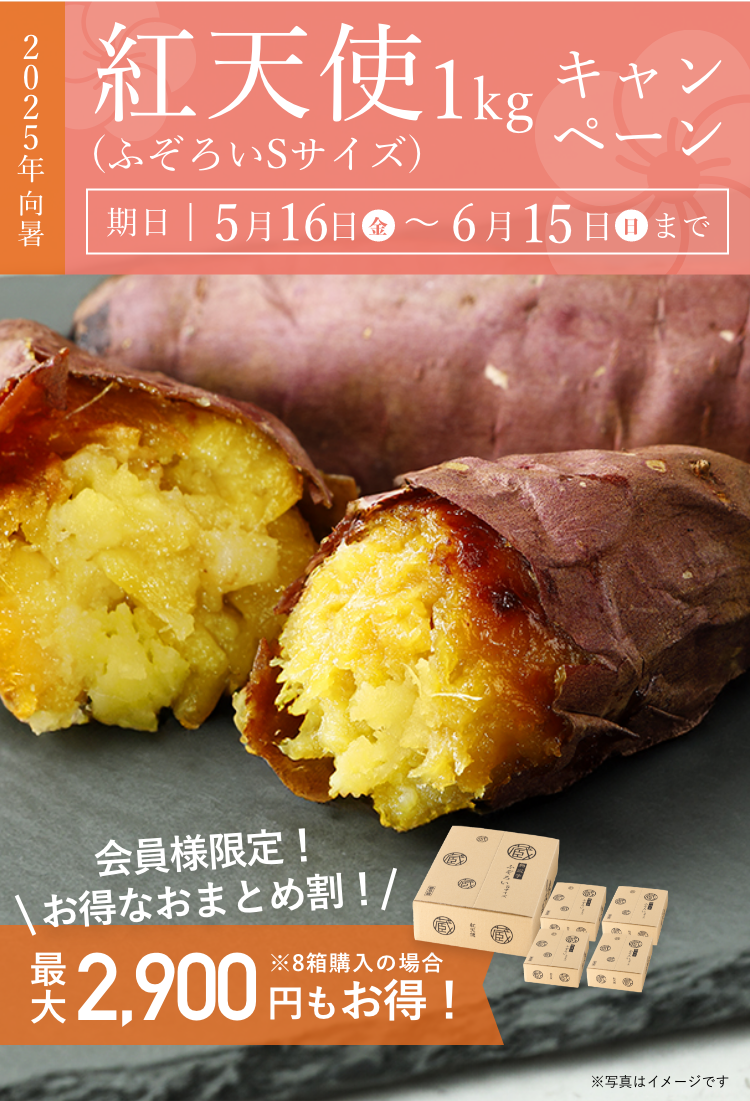 紅天使