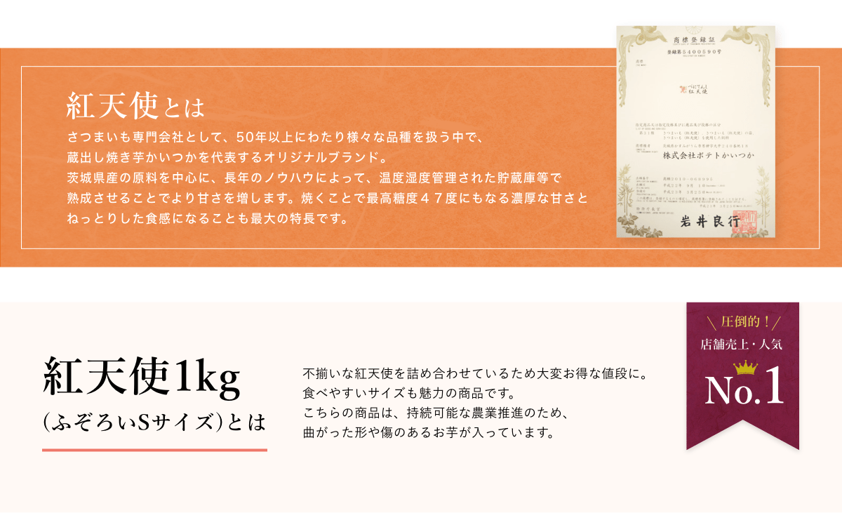 紅天使とは