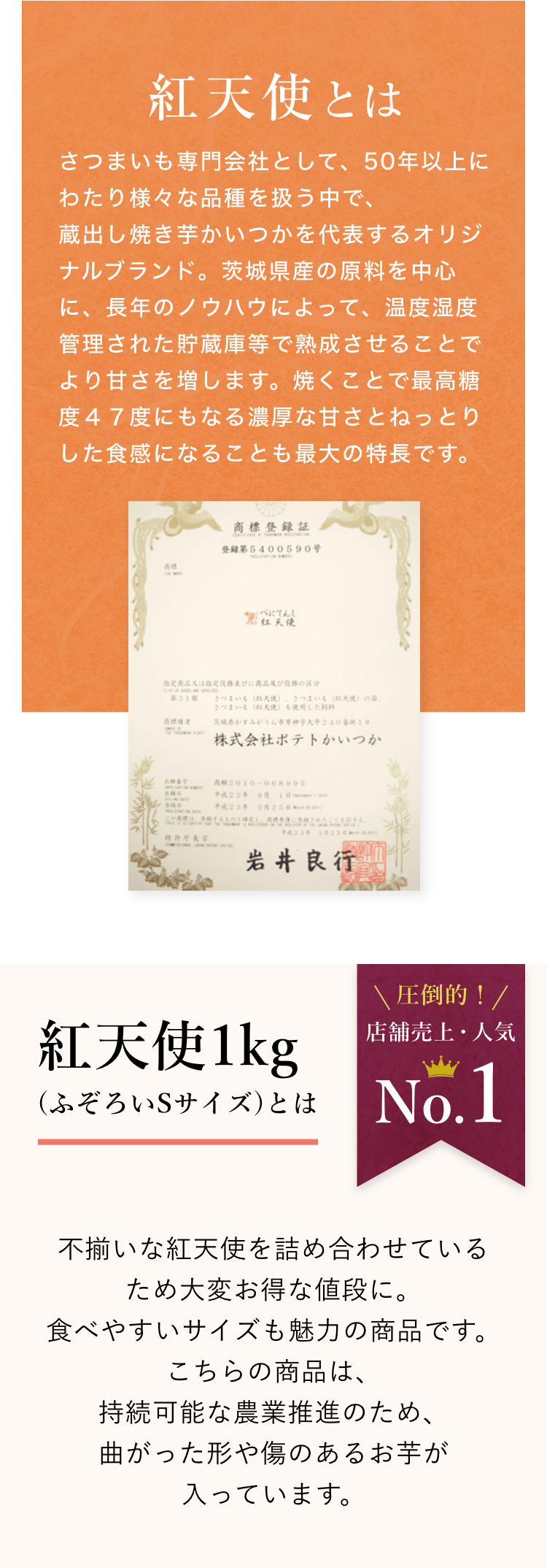 紅天使とは