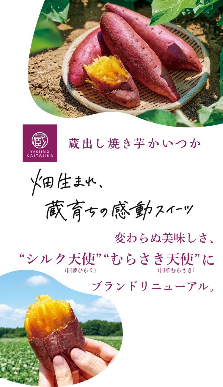 蔵出し焼き芋かいつか 畑生まれ蔵育ちの感動スイーツ 変わらぬ美味しさ、シルク天使 むらさき天使にブランドリニューアル。