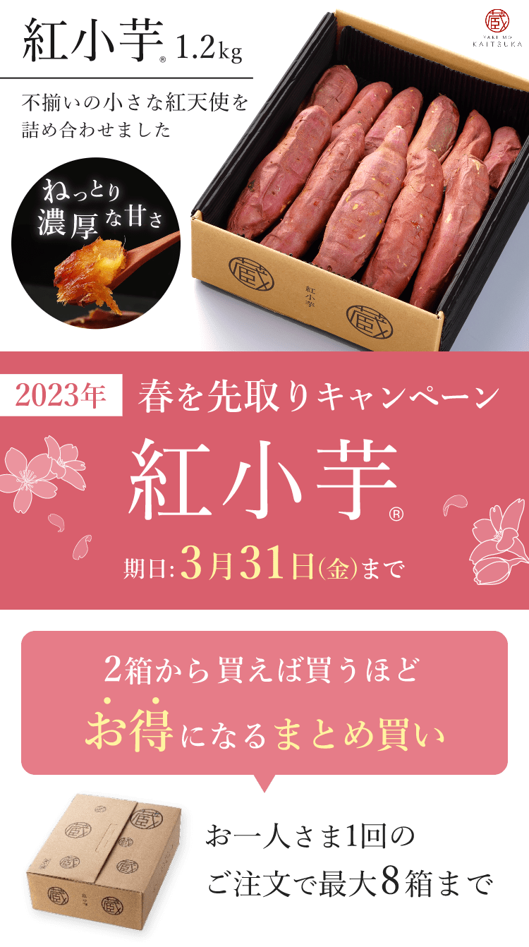 2022年の味、ここから！年内最後の「紅小芋」
