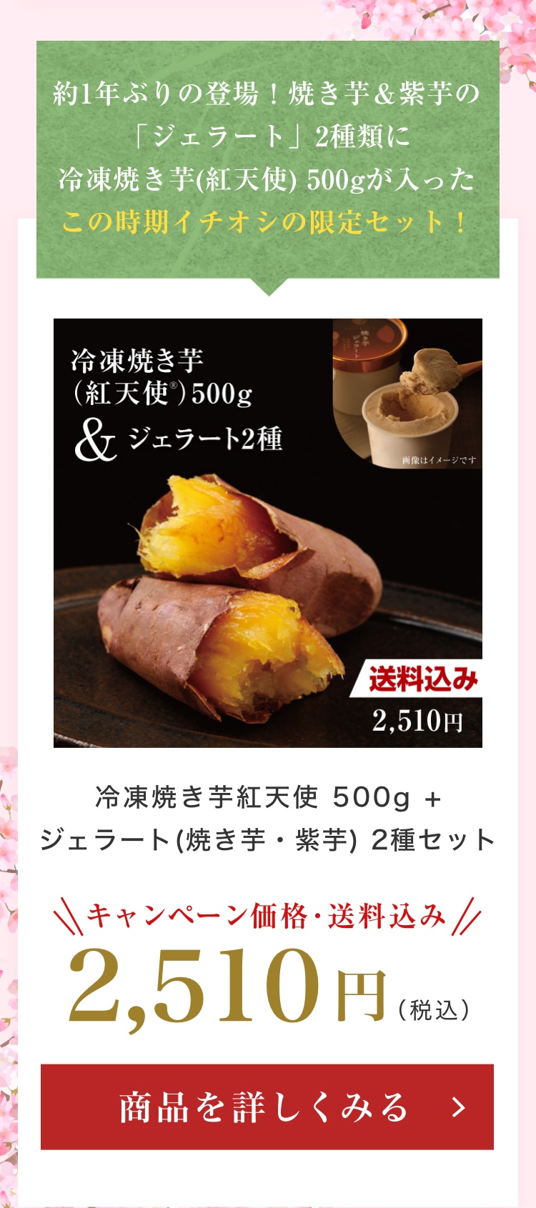 冷凍焼き芋紅天使 500g + ジェラート(焼き芋・紫芋) 2種セット