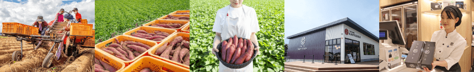 蔵出し焼き芋かいつか おすすめギフト