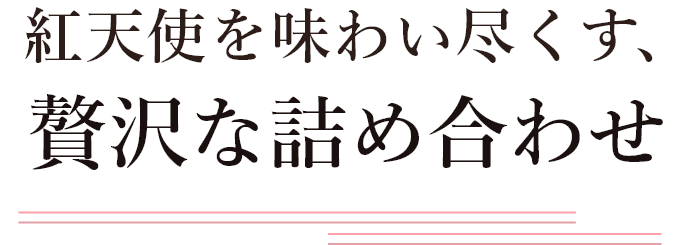 紅天使を味わい尽くす、贅沢な詰め合わせ