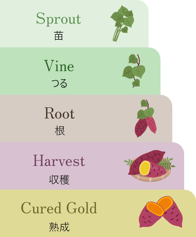 ランク制度