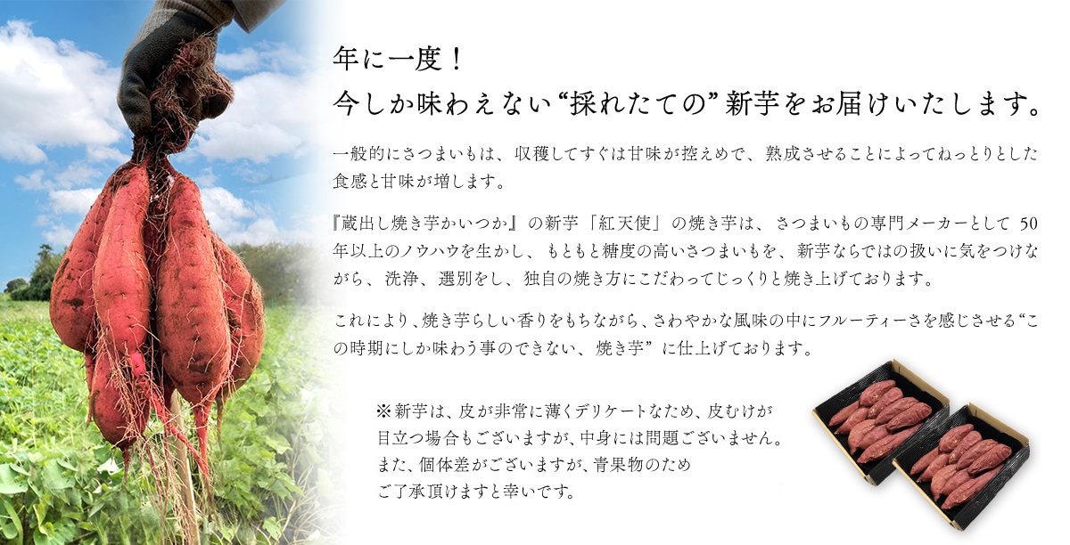 年一度！今しか味わえない採れたての新芋をお届けいたします