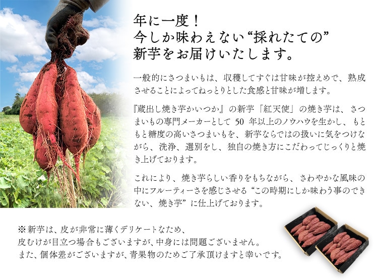 年一度！今しか味わえない採れたての新芋をお届けいたします