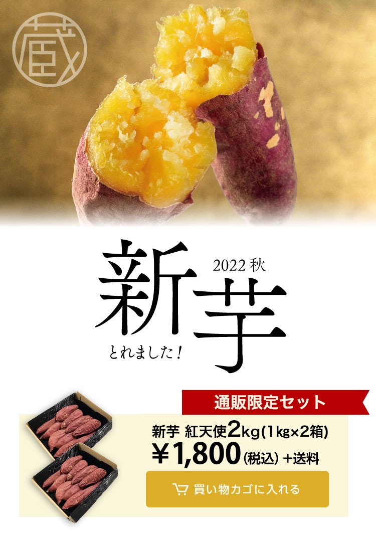 2021年秋　新芋とれました！