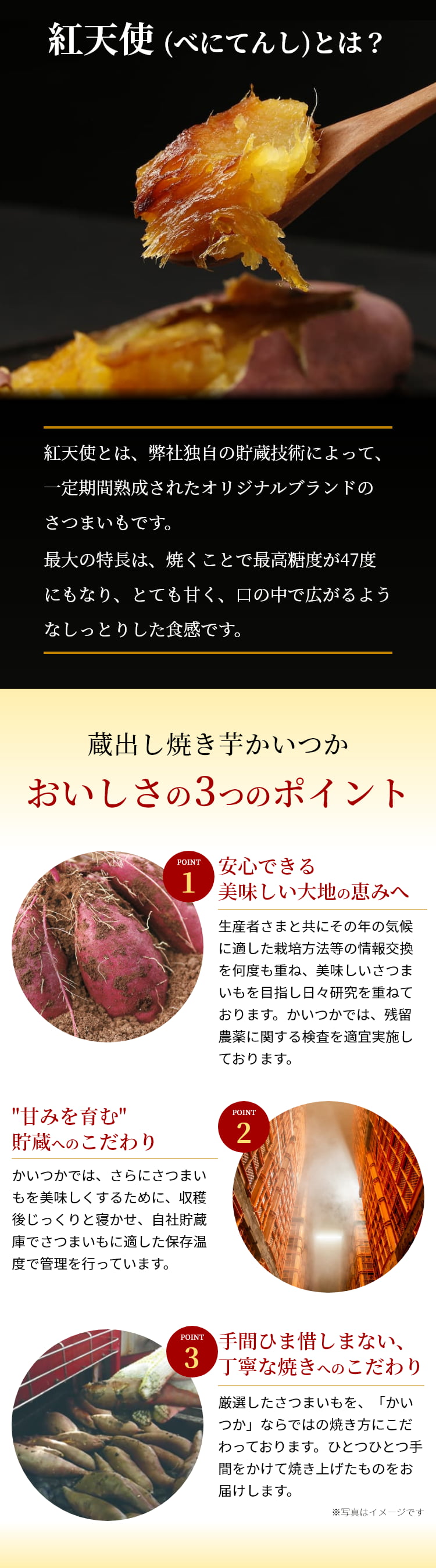 焼き芋 紅天使