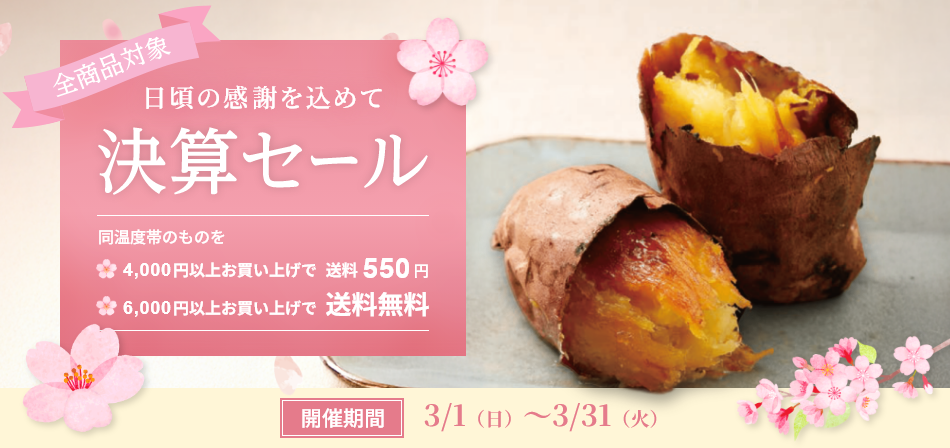 決算セール開催中!