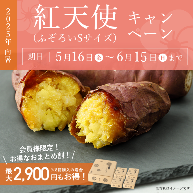 きたのもり様2000本5月23日発送分茨城県産紅はるかさつまいも苗