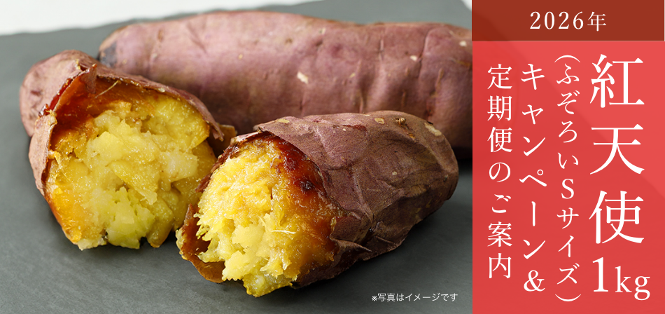 ふぞろいSサイズキャンペーン開催中