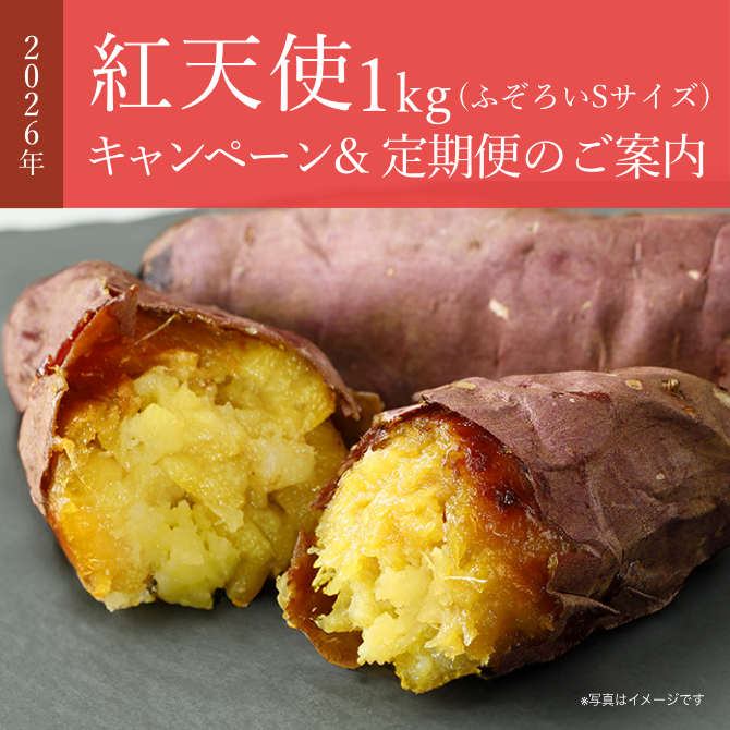 公式通販】蔵出し焼き芋かいつか｜さつまいも専門店