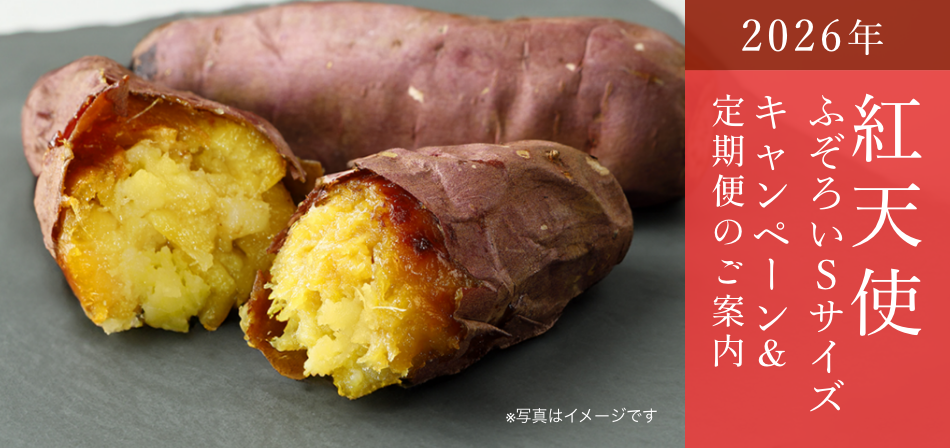 紅天使 ふぞろいSサイズキャンペーン