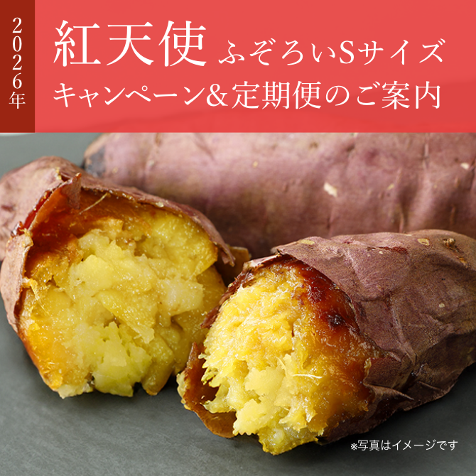 公式通販】蔵出し焼き芋かいつか｜さつまいも専門店