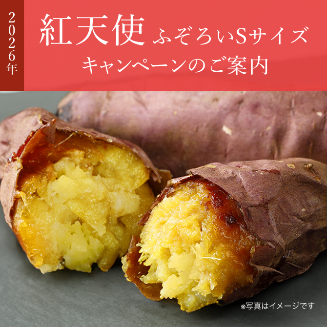 公式通販】蔵出し焼き芋かいつか｜さつまいも専門店