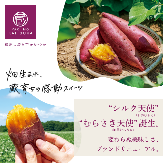 公式通販】蔵出し焼き芋かいつか｜さつまいも専門店