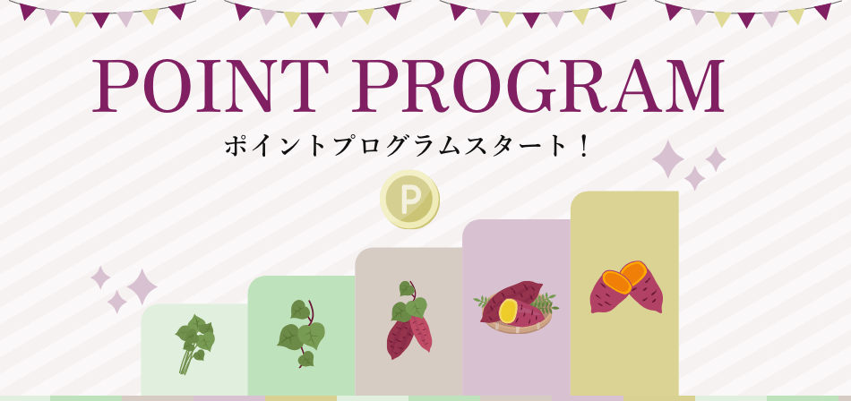 ポイントプログラムスタート