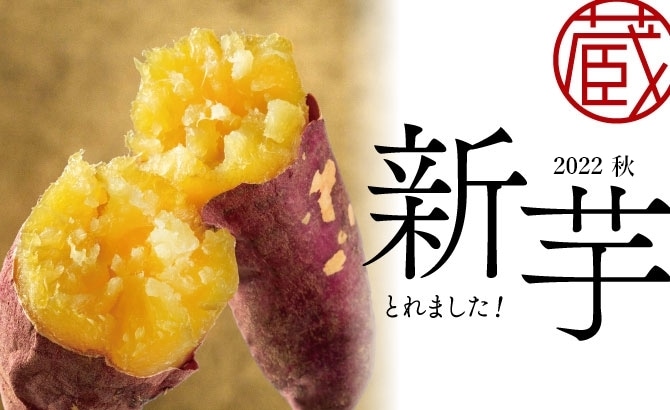 公式】蔵出し焼き芋かいつか