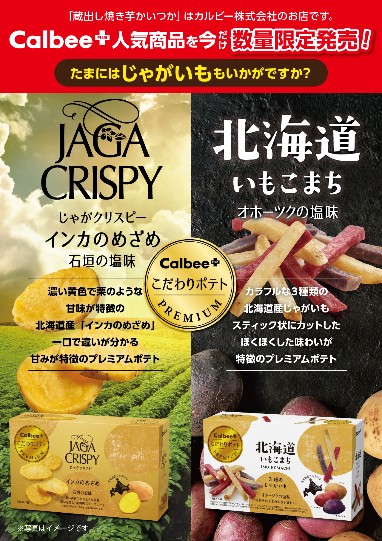 カルビーフェア